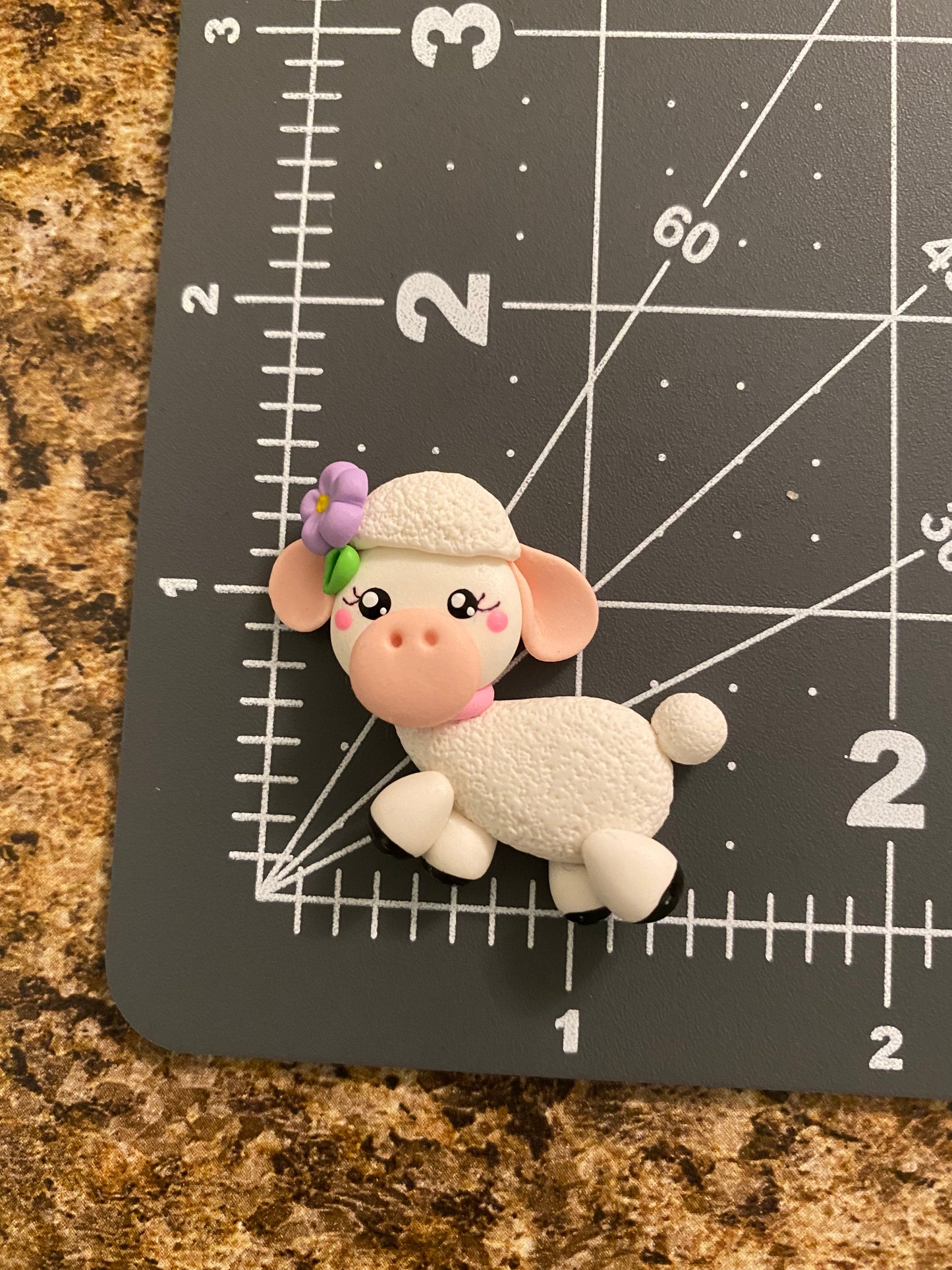 Sheep